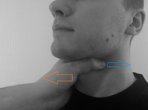 IMG_20150408_130057 - Copy